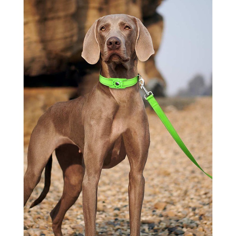 Erbine 6ft Dog Leash for Small Medium Large Dogs |