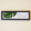 Monstera II Horizontal Black Leaf Frame Panel