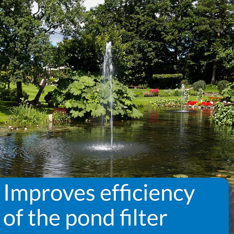 API Pond Accu Clear 32 oz Pond Water Clarifier Clears