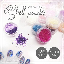Shell Powder Set of 12 Colors Crush Hologram Gel Nail Art UV Resin Nail Parts Nail Supplies Natural Shell Colored Seashell Nail Art Shell Stone Shell Parts Home Time Summer Nail Gel Nail Shelf Rake