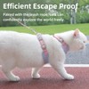 Generic Escape-Proof Cat Harness and Leash Set - Adjustable and