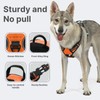 Belababy Dog Harness Small Medium Large No Pull, Adjustable Reflective