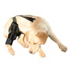 Knee Brace for Dogs | Dog Rear Leg Sleeve |