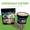 CHEWMAX Sugar & Spice Catnip 1.5oz Container