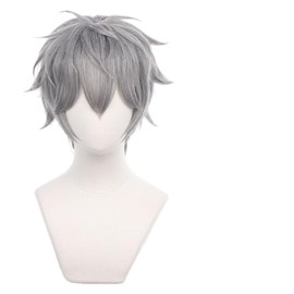 Grey Short Wig for Men with Heat Resistan Synthetic Fiber Short Hairs for Unisex Adult Daily Wear Halloween Christmas Anime Party Replacement Wigs