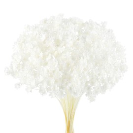 300 PCS Dried Flowers Brazilian White Small Starflower Flowers Mini Dried Flower Bouquet Daisies Mini Chamomile Flower Bouquet for Flower Arrangement Wedding (Snow-White)