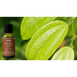 ACEITE ESENCIAL de HOJAS de CANELA BLANCA 30ML