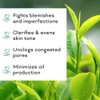 Tea Tree Facial Oil Clearing Antioxidant-rich beauty targeting acne and
