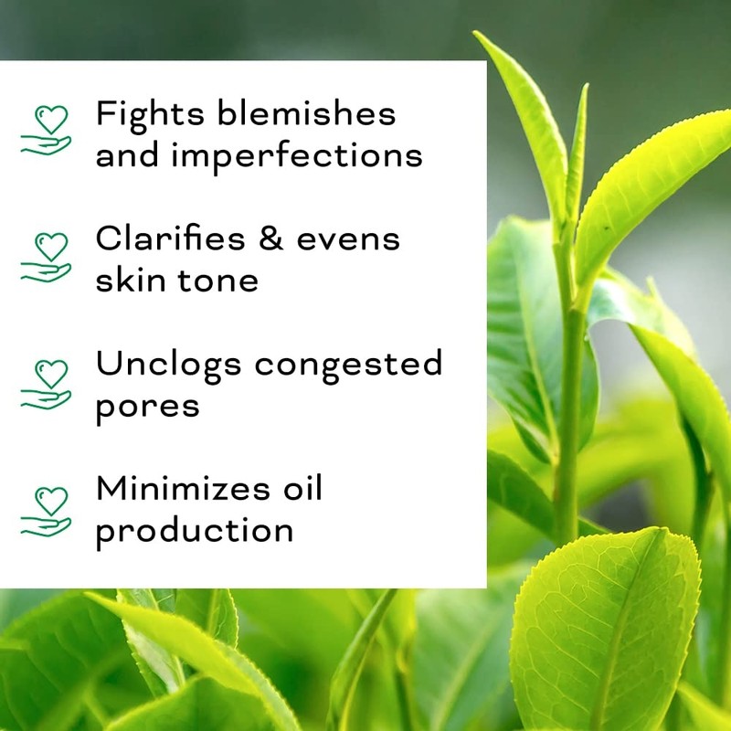 Tea Tree Facial Oil Clearing Antioxidant-rich beauty targeting acne and
