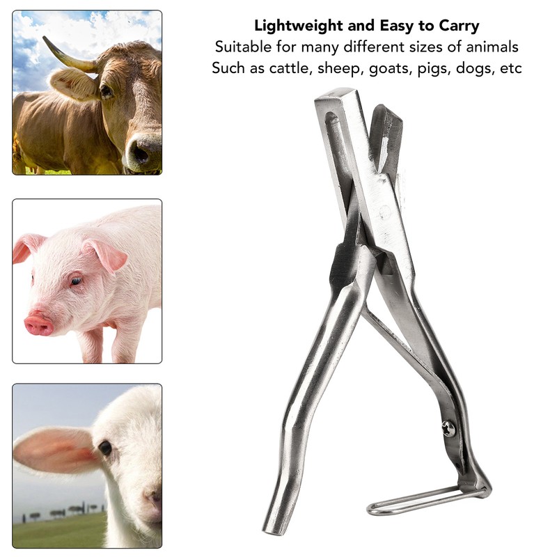 Pig Ear Tag Plier Stainless Steel Animal Ear Notcher with