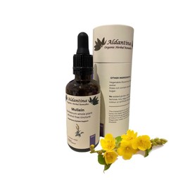 Organic Mullein Tincture Alcohol-Free Liquid Extract, Organic Mullein (Verbascum thapsus) (50ml)