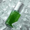 Cellimax 노니 에너지 앰플 30ml Noni Energy Ampoule 30ml