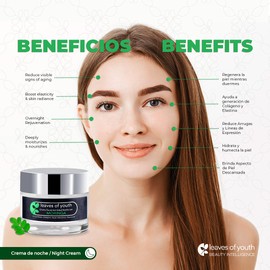 Leaves of Youth Crema Hidratante Facial Antiarrugas de Noche, Humectante facial con Acido Hialuronico + Retinol + Moringa, 50 grs. Ingredientes Naturales