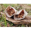 Bushcraft Fire Starting Firestarting Preparedness 2 PACK Fatwood Free Shipping
