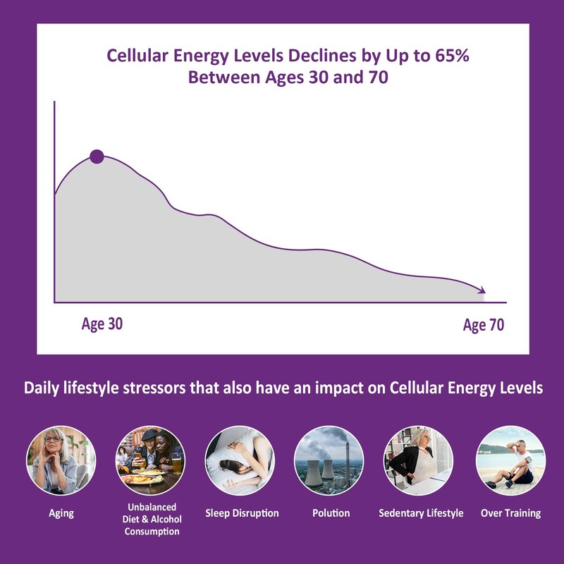 NEVISS NEVISS Nicotinamide 500mg Gummies + Marine Algae Calcium Gummies