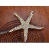 Alilang Golden Tone Metal Cute Simple Starfish Shells Two Hair