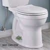 ZUNON Toilet Bolt Caps, Decorative Toilet Bolt Covers, Ceramic Cute