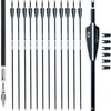 BOWSOUL 31Inch Carbon Arrows for Target Practice Hunting Arrow with