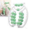 Yuragim Cellulite Massager, 20 Wheels Cellulite Roller, 2025 Massage Roller