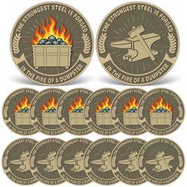 Canchiing 12 Pcs 1.38' Dumpster Fire Coin Double Sided Desk Accessories Dumpster Fire Challenge Hilarious Medallion Coin for Memorabilia Office Pranks Humorous Office Decor Workplace Coworkers