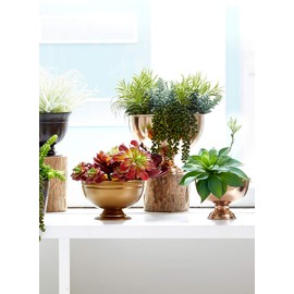 Serene Spaces Living Antique Gold Iron Pedestal Bowl, Versatile Footed Bowl, Set of 12, Measures 5" Tall and 8" Diameter (Large, Set of 12)