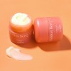 The Saem Urban Eco Golden Berry Sea Cream / 더샘