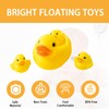 Rubber Ducks, Rubber Duck Bath Toys, 2 Large Ducks and