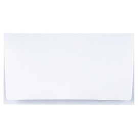 6 3/4 Remittance Envelopes (3 5/8" x 6 1/2" Closed) in 24 lb. Bright White for Mailing Checks, Donations, Invoices, Business Letterhead, and Direct Mail, 250 Pack (White)