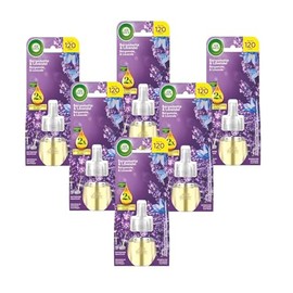 Air Wick Duftstecker Nachfüller – Duft: Bergamotte und Lavendel – Floraler Raumduft für die Steckdose – 6x 19ml Duftölflakon-Nachfüller
