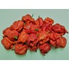 Dragons Breath 5+ Dried Peppers