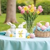 Rdtcgvss 4" X 4" Funny Easter Decor Desk Decor -