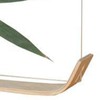 Desktop Plant Specimen Frame Wooden Acrylic Simple Modern Photo Frame