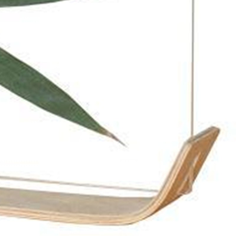 Desktop Plant Specimen Frame Wooden Acrylic Simple Modern Photo Frame