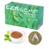 EZR Leaf Mint Herbal Tea, Caffeine Free Decaf, Pyramid Tea