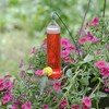 Perky-Pet Planter Box Plastic Hummingbird Feeder with Hanging Rod, 3