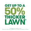 Scotts Turf Builder Thick'R Lawn Tall Fescue Mix - Combination