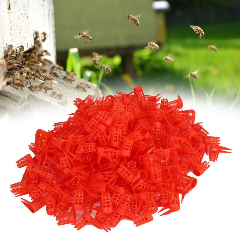 250PCS Plastic Opening Bee Queens Cage Protective Cell Cover Beekeeping
