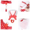 2 Pack Dog Harness and Leash Set Dot Bow Chest