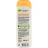 Body Milk Organic Cocoa Butter and Organic Hibiscus 250 ml