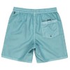 Quiksilver EVERYDAY SURFWASH VOLLEY 17NB Men's Board Shorts, BGW0, L