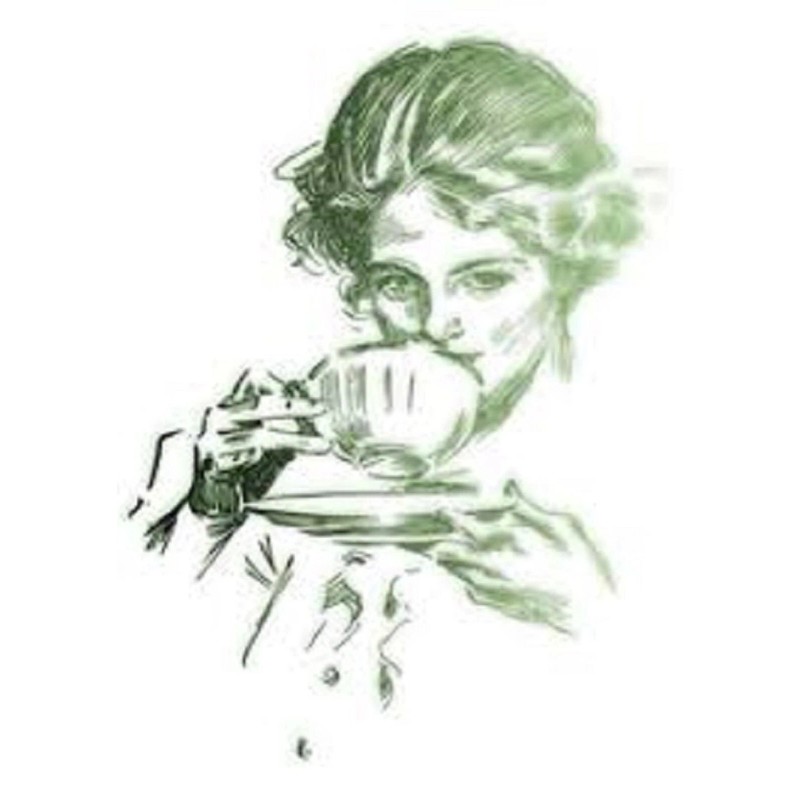 Lenier Tea 2 Tins Decaf. Choc. Hazelnut Biodegradable Nylon Tea