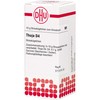 DHU Thuja D4 Spreading Balls 10 g Globules