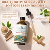 EVOKE OCCU Sandalwood Essential Oils for Skin Care, Diffuser, Perfume,