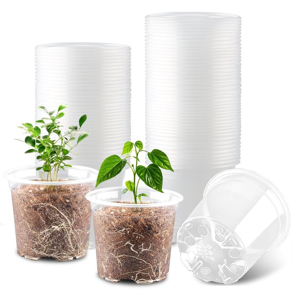 RooTrimmer RooTrimmer 100 Pack 4 Inch Clear Plant pots with