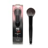 Clio Pro Play Face Blending Brush 205 / 클리오 프로