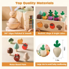 WOODEN TEETHER Montessori Wooden Toy from 1 2 3 Years, Plug-In Game Sorting Game Wooden Puzzle Carrot Harvest Farm Toy Educational Toy Gifts for Boys Girls