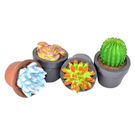 G & F Products 10062 Garden Miniature - Succulent