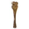 Vickerman 678879-24"-28" Curly Ting Ting Gold bunch 5/Pk (H7CTT008) Dried