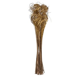 Vickerman 678879-24"-28" Curly Ting Ting Gold bunch 5/Pk (H7CTT008) Dried and Preserved Pods