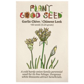 Plant Good Seed Garlic Chive/Chinese Leek Seeds - Pack of 60, Heirloom Seeds for Planting Vegetables, Herbs - Gardening Supplies, Vegetable Garden - Non-GMO, Open Pollinated, from USA